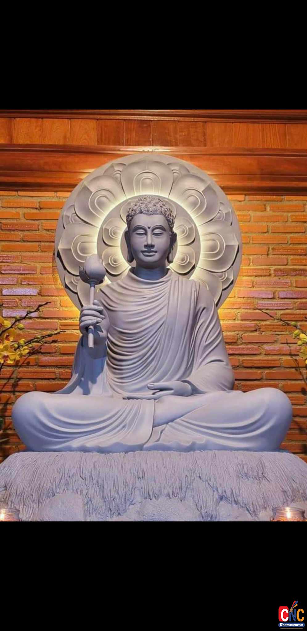 354228617_166516282989484_3526602303494051453_n