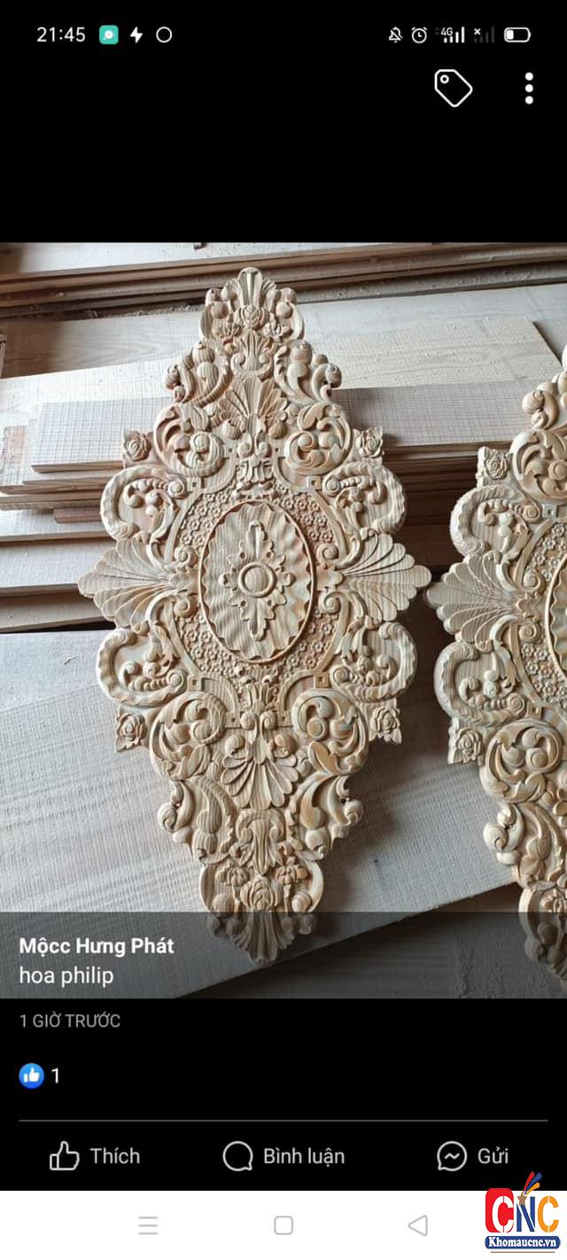 429937511_2588679117959010_4982861110497542387_n