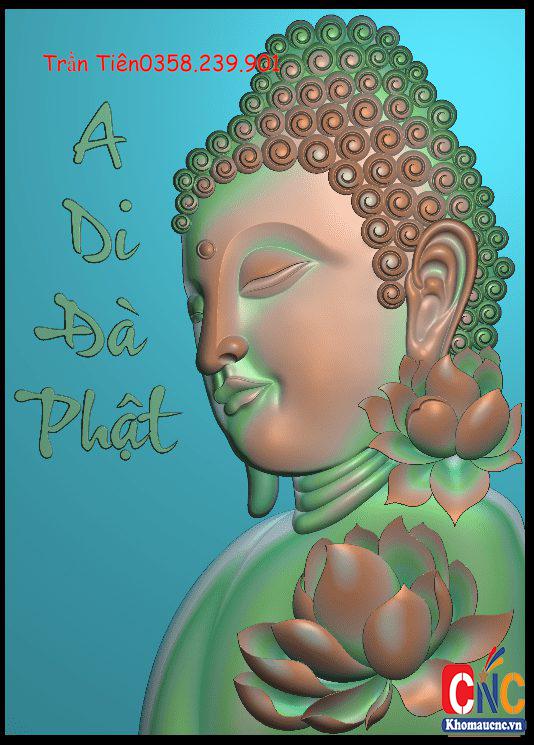 dien-phat-A1-500k