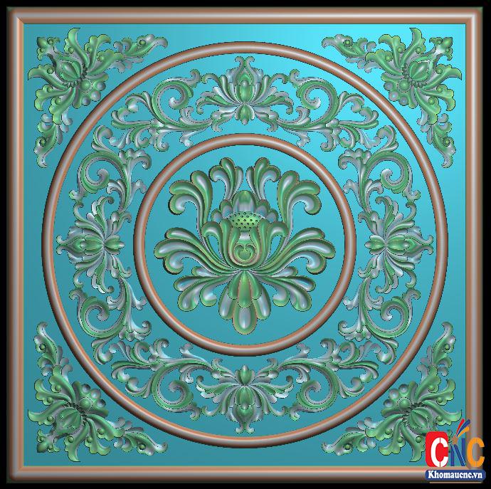 hoa-vuong-phu-dung-ok