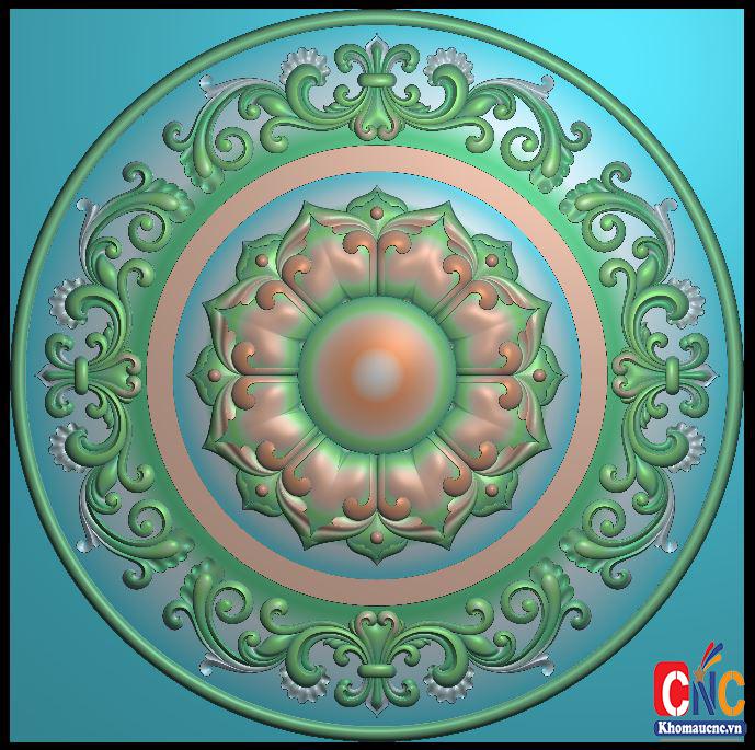 mam-tran-a-vinh-chay