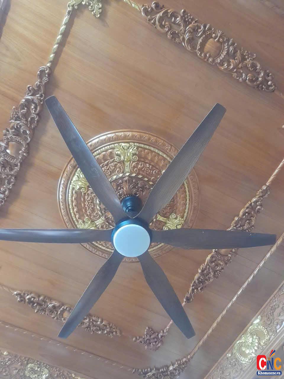 z6592767640317_351a0d640806f6514dc2a1ecffbeefe4